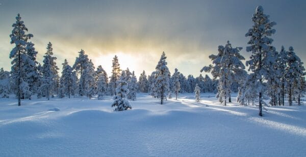 Lapland tour