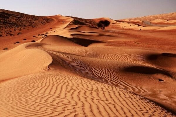 Oman desert