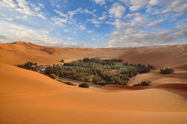 Oasis desert