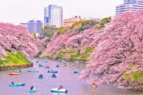 Kayaking in Japan