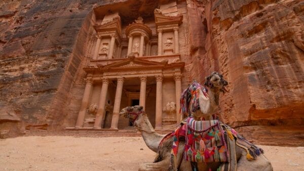 Camels in front of Petra Treasure