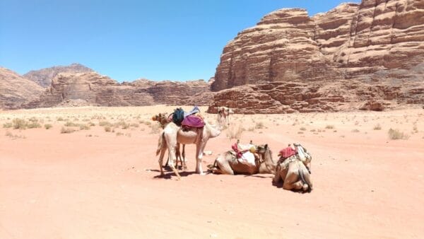 Wadi Rum Desert in Jordan tour