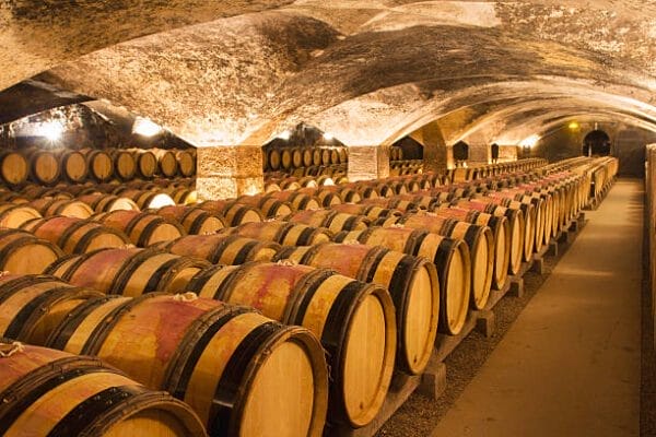 Ancient wine cellar in France tour