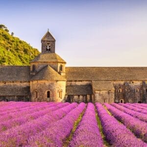 provence france lavander field