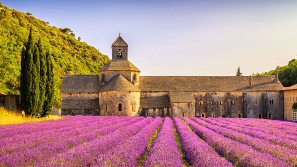 provence france lavander field