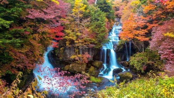 Nikko foliage Japan