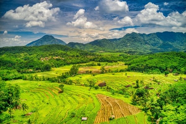 South East Asia: Indonesia, Singapore, and South Vietnam