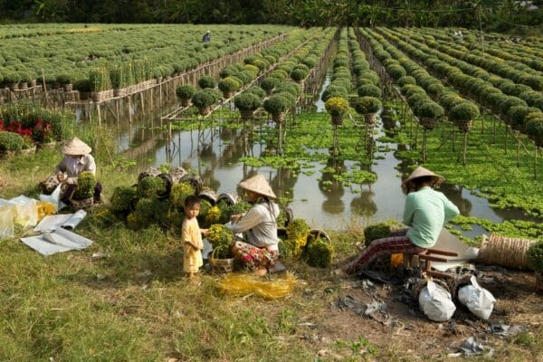 South East Asia: Indonesia, Singapore, and South Vietnam - Image 5
